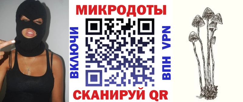дарнет шоп Тихорецк Галлюциногенные грибы Psilocybe
